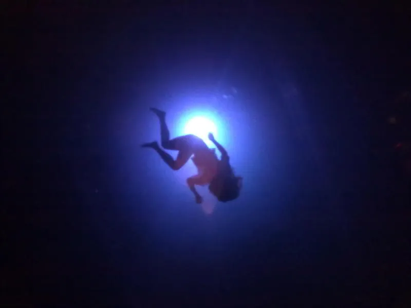 Fuerzabruta