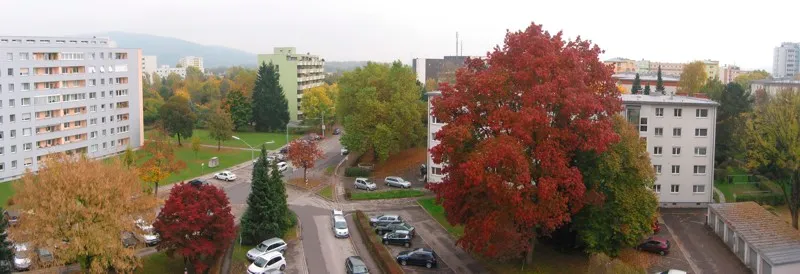 Autumn